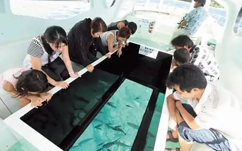 グラスボートから見る珊瑚礁