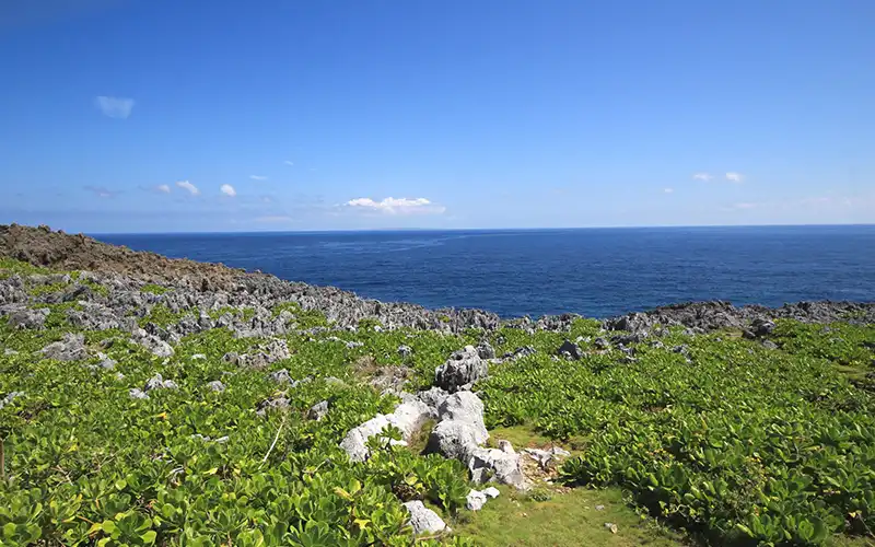 邊戶岬的懸崖峭壁