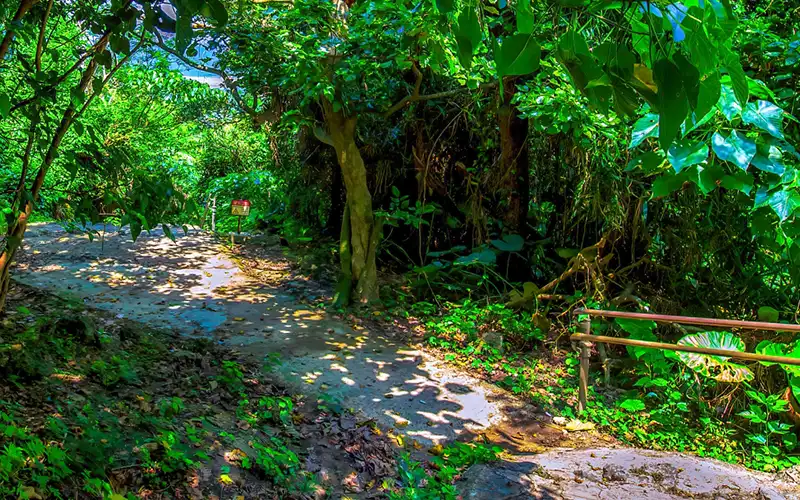 斎場御嶽的參道