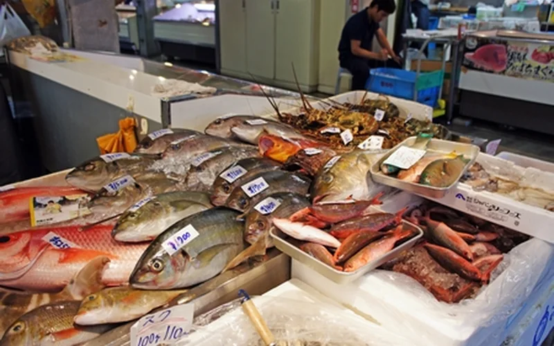 泊魚市場店內陳列的沖繩鮮魚